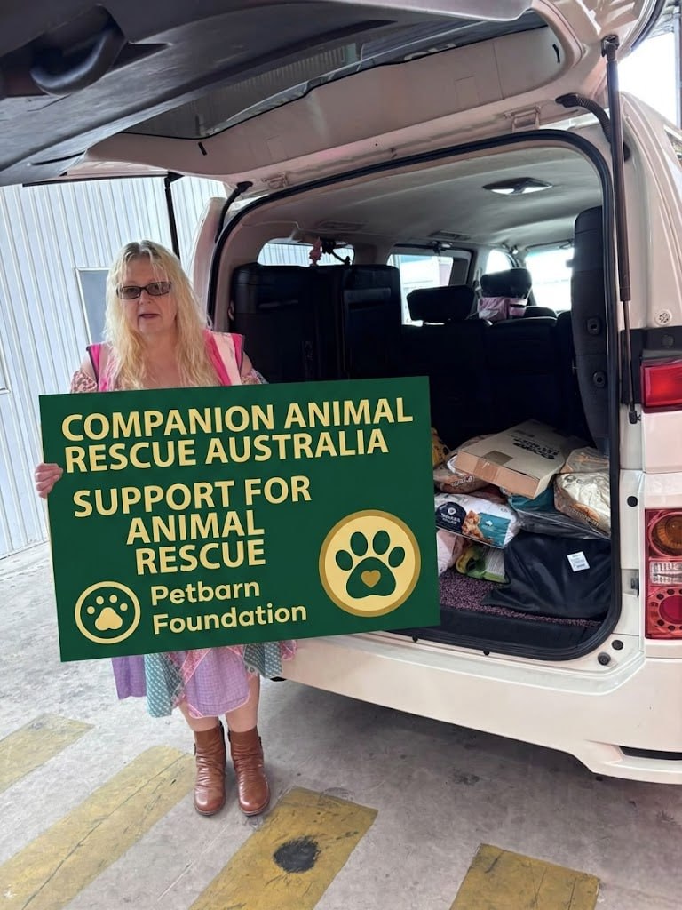 A rescued animal waiting for support
