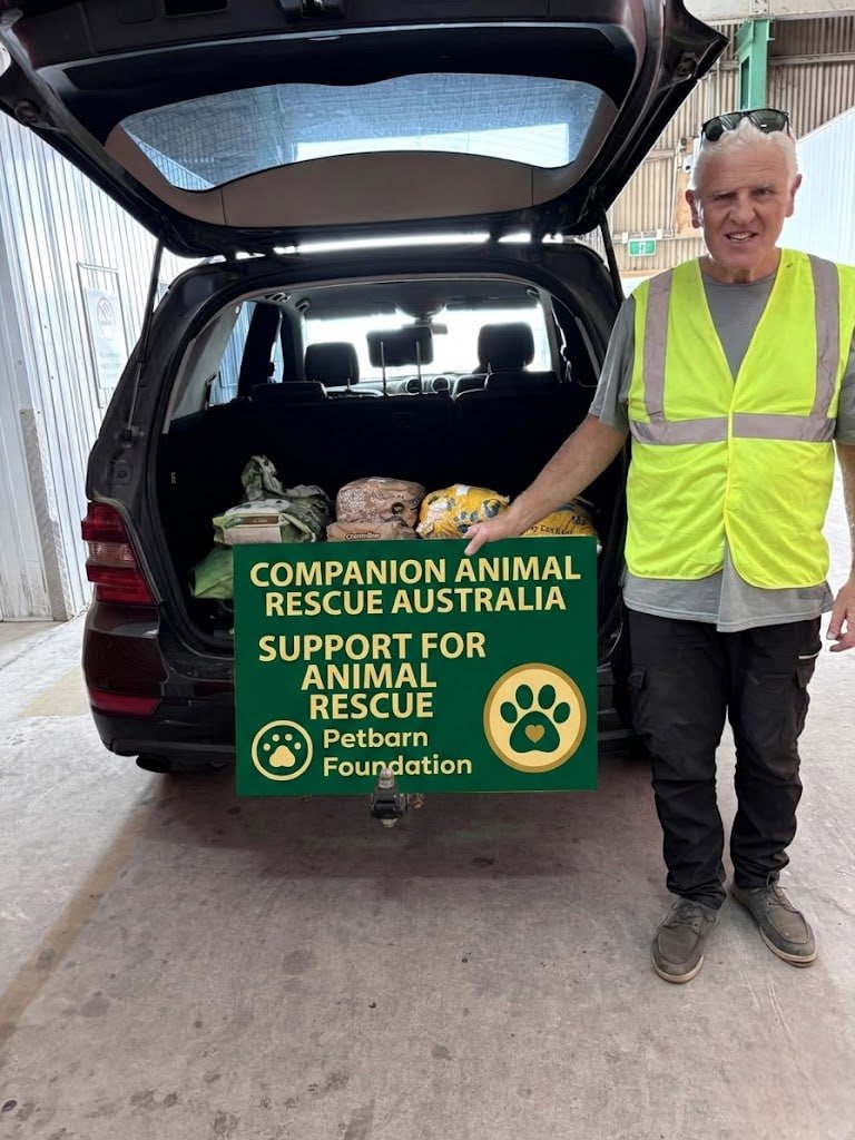 A companion animal helped by rescue donations